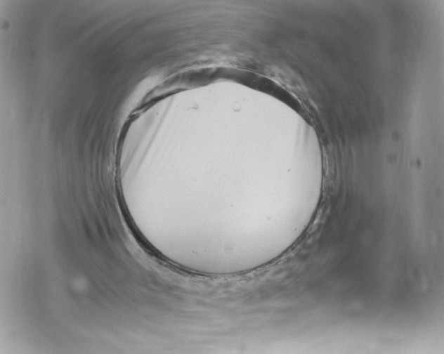 X0000071860003200607290209