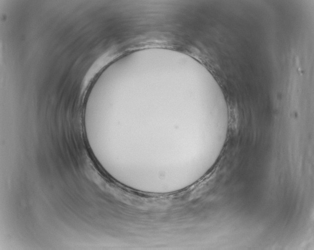 X0000071860004200607290209