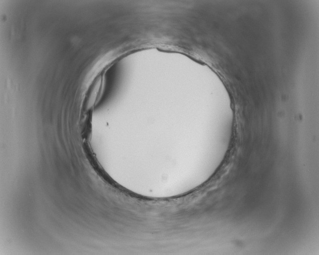 X0000071860007200607290209