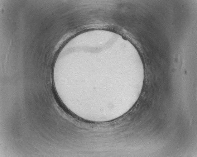 X0000071860011200607290209