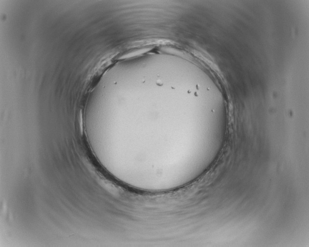 X0000071860013200607290209