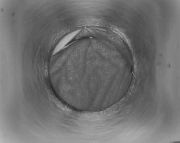 X0000071860017200607290208