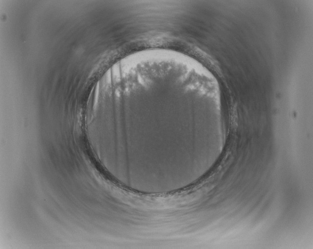 X0000071860018200607290208