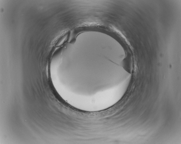 X0000071860019200607290208