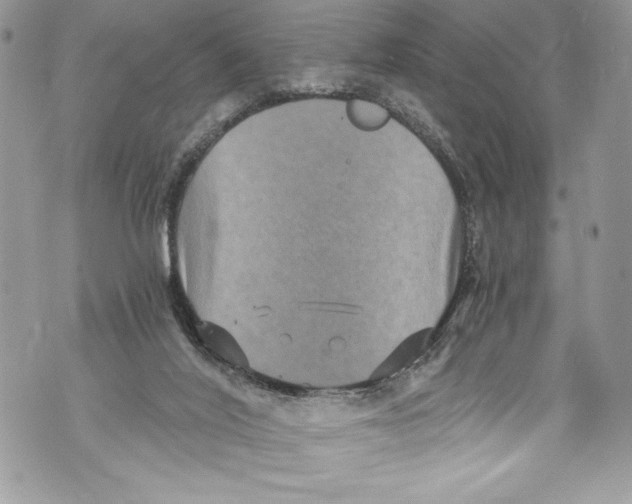 X0000071860020200607290208