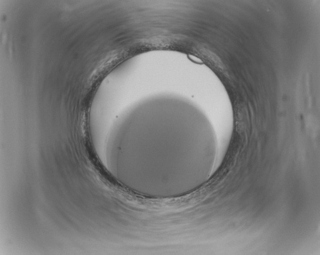 X0000071860023200607290208