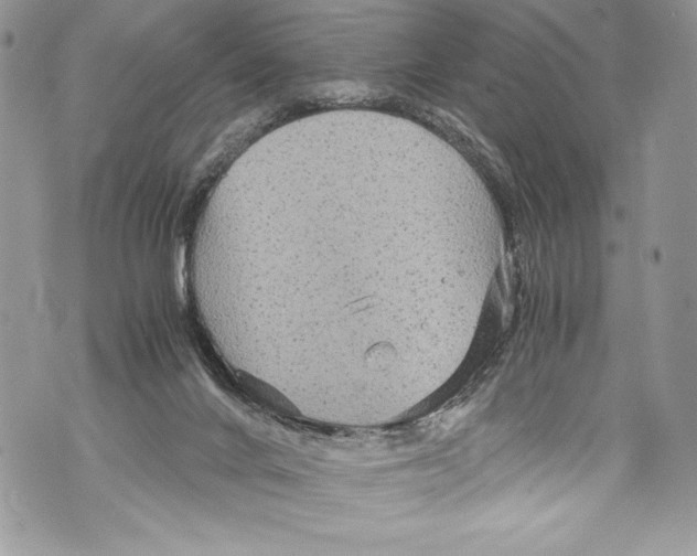 X0000071860024200607290208