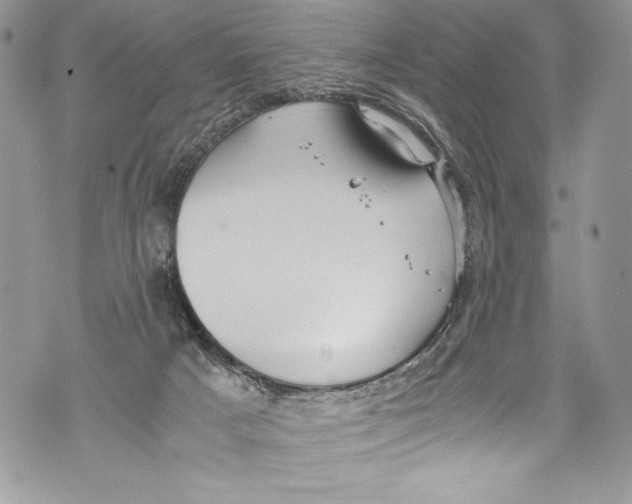 X0000071860025200607290208