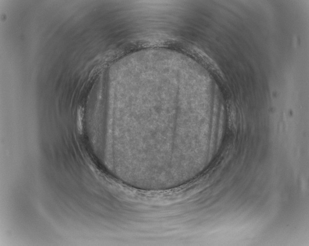 X0000071860026200607290208