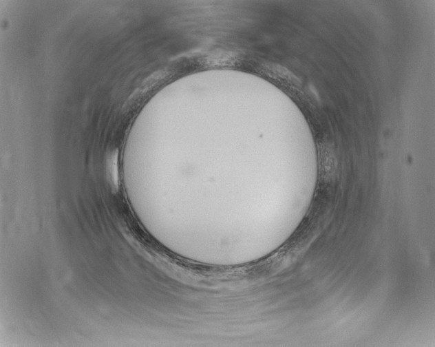 X0000071860028200607290208