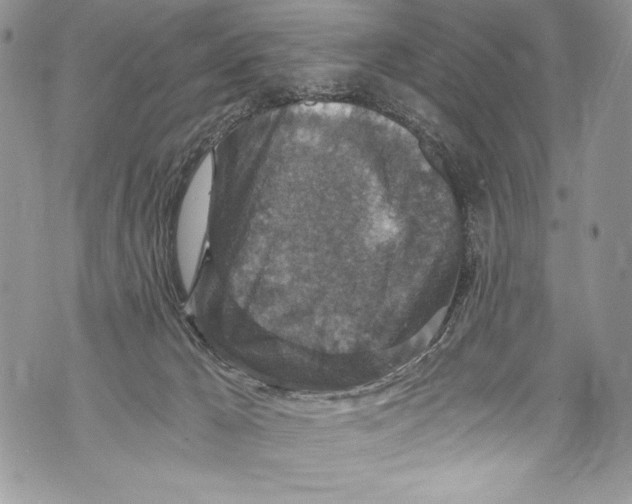 X0000071860029200607290208