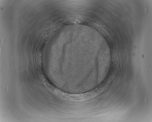 X0000071860030200607290208