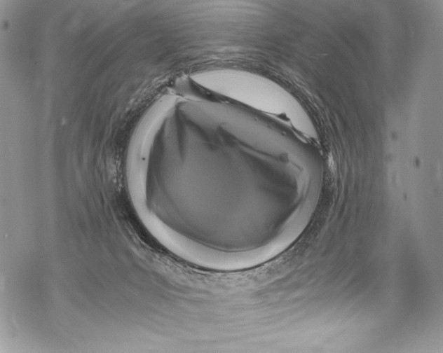 X0000071860031200607290208