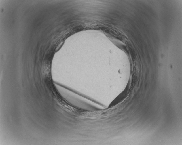 X0000071860033200607290208