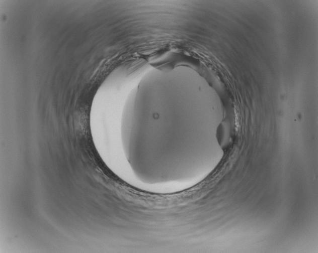 X0000071860035200607290208