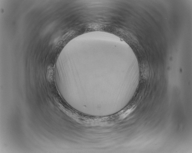 X0000071860036200607290208