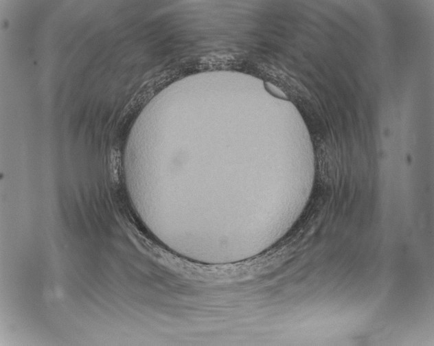 X0000071860038200607290208