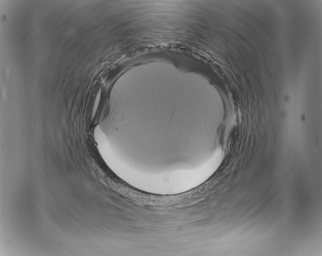 X0000071860039200607290208