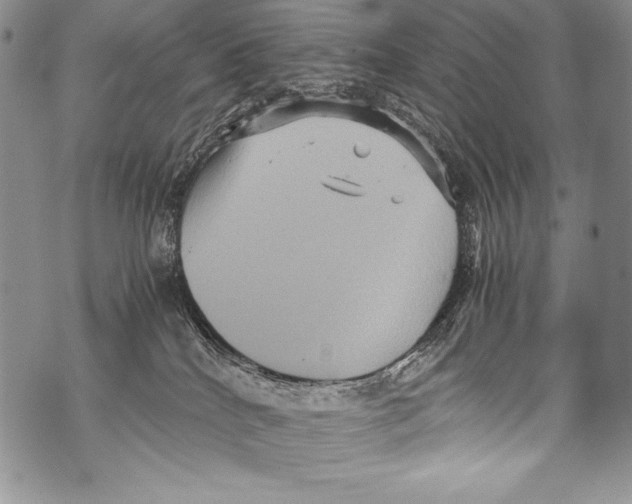 X0000071860040200607290208