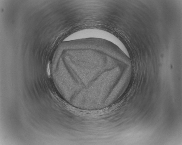 X0000071860042200607290208