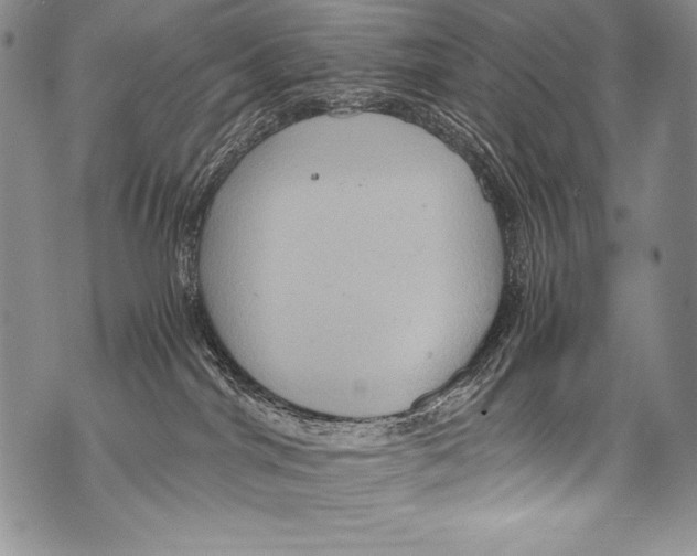 X0000071860044200607290208