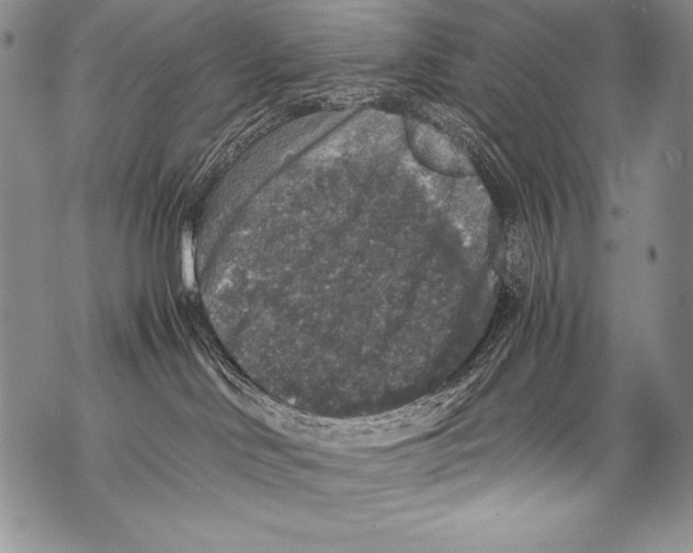 X0000071860046200607290208