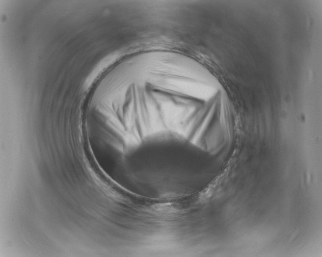 X0000071860054200607290207