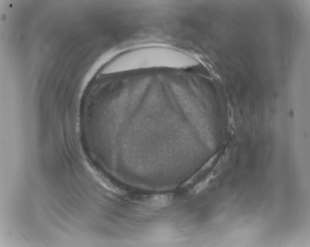 X0000071860056200607290207