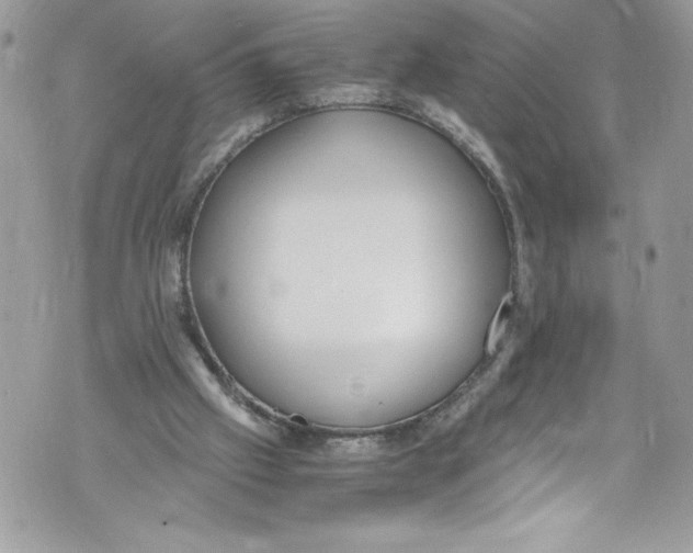 X0000071860057200607290207