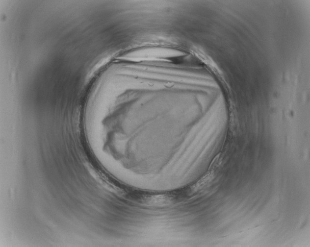 X0000071860058200607290207