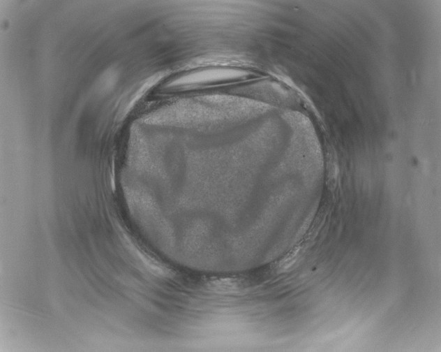 X0000071860062200607290207