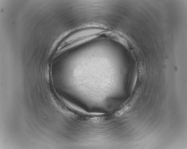 X0000071860064200607290207