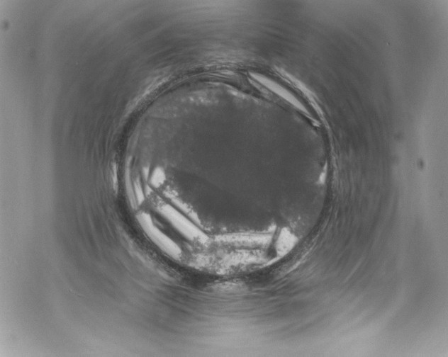 X0000071860067200607290207