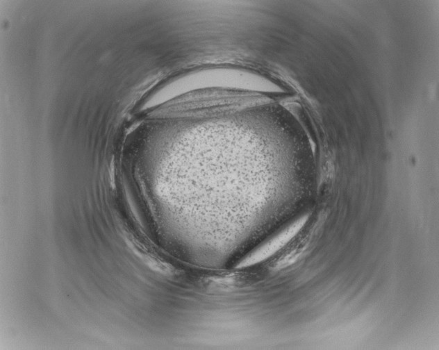 X0000071860068200607290207