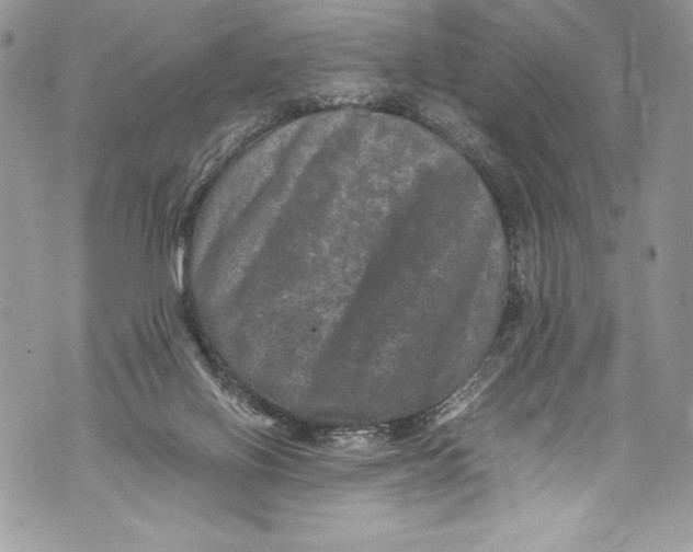 X0000071860070200607290208