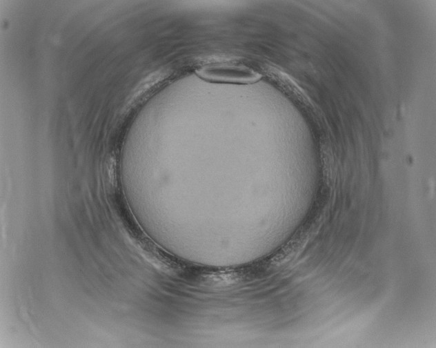 X0000071860071200607290208