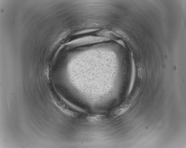 X0000071860072200607290208