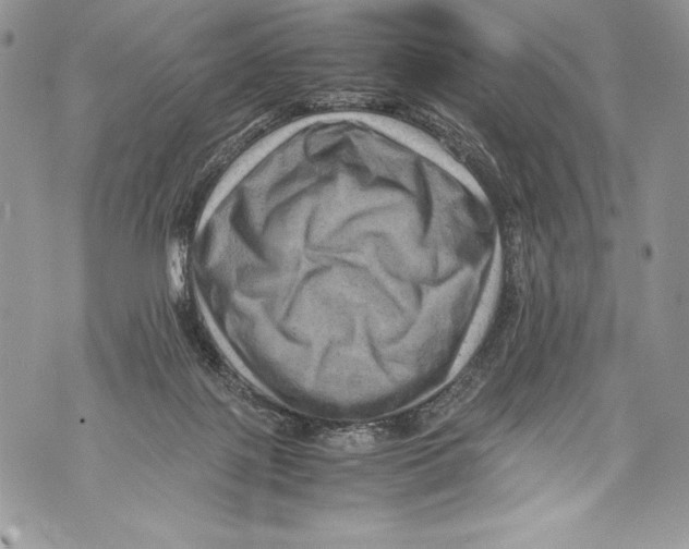 X0000071860075200607290208