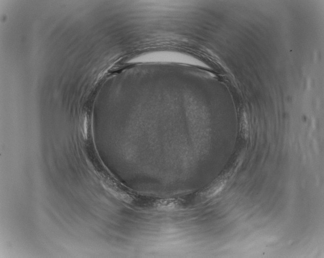 X0000071860076200607290208