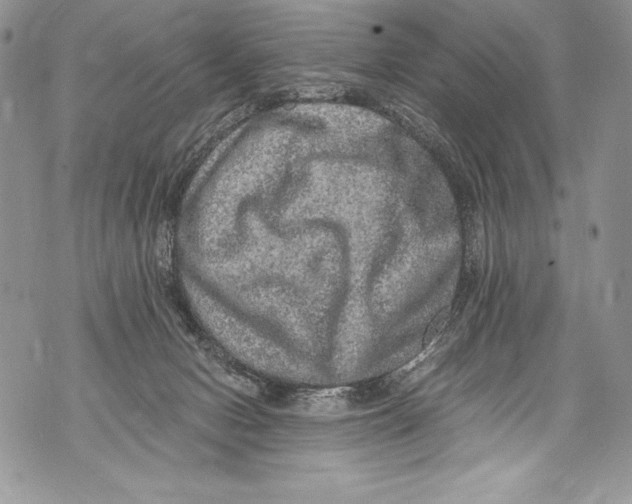 X0000071860078200607290208