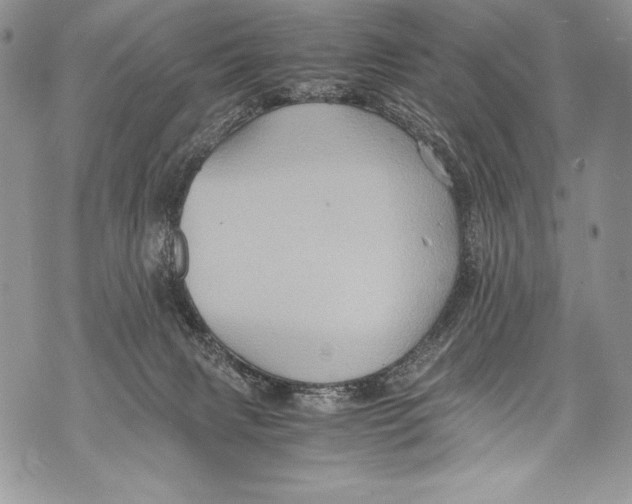 X0000071860079200607290208