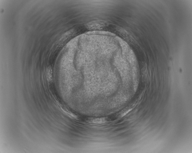 X0000071860081200607290208