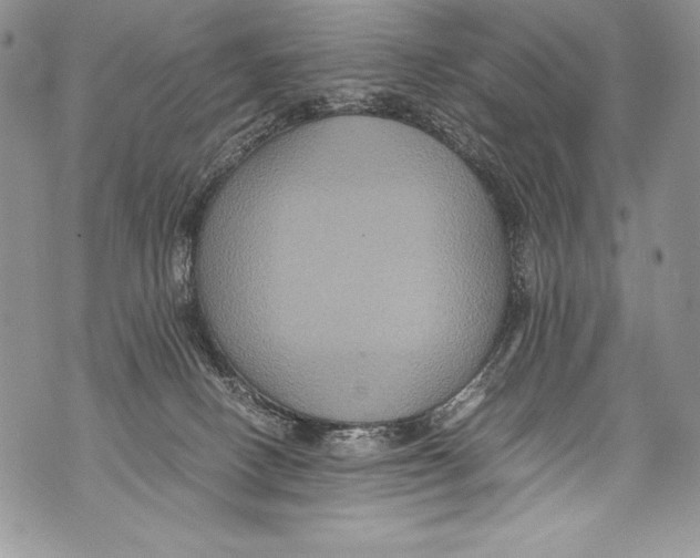 X0000071860082200607290208