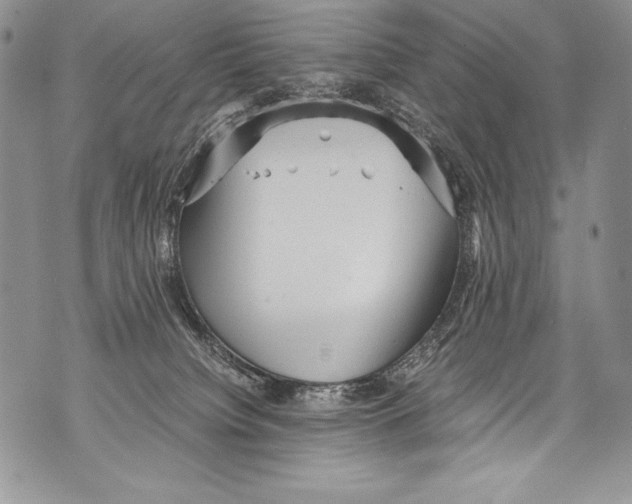 X0000071860084200607290208