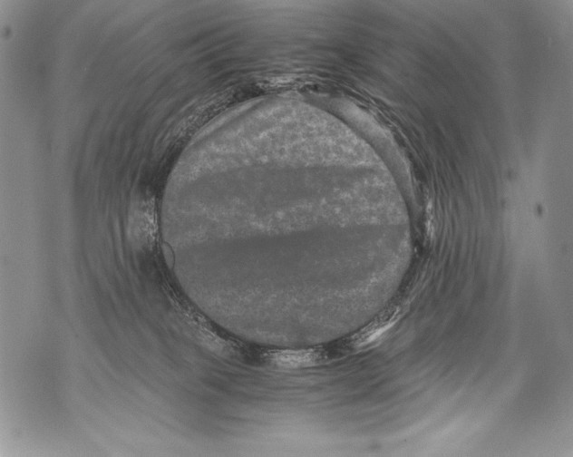 X0000071860085200607290208