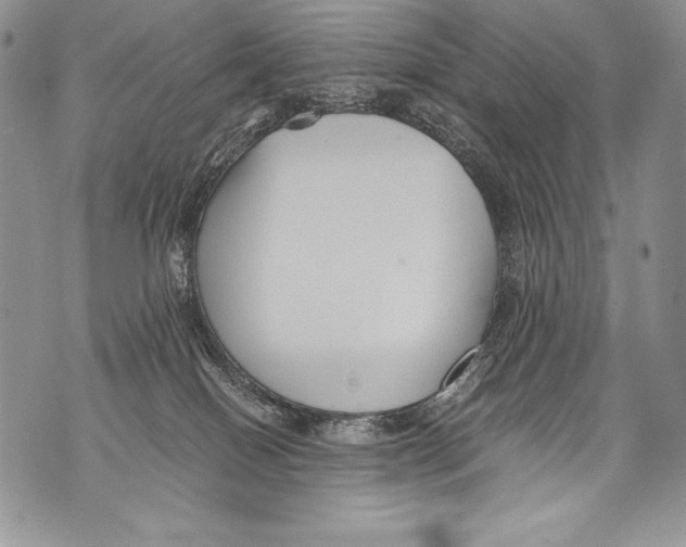 X0000071860086200607290208