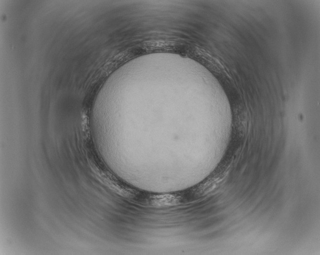 X0000071860087200607290208