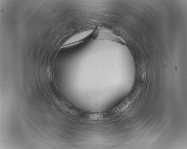 X0000071860088200607290208