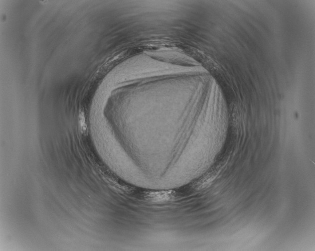 X0000071860089200607290208