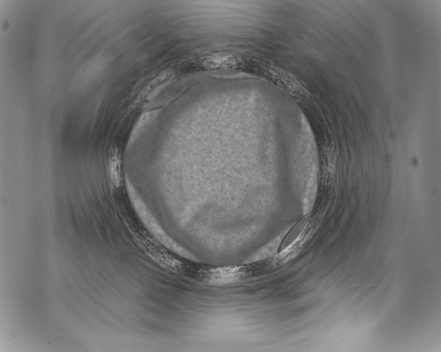 X0000071860090200607290208